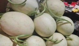 流学生外国吃瓜,一场文化碰撞的趣味之旅