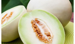 天天吃白兰瓜,品味生活，尽享甘甜