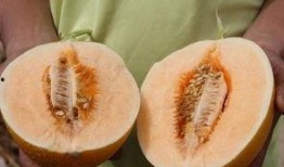 吃瓜应该没事吧,围观娱乐圈，安心无虞？