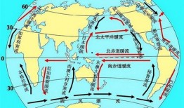 洋流吃瓜,揭秘海洋中的神秘瓜事