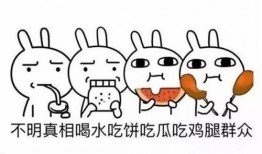 吃瓜微笑的意思,揭秘网络热词背后的趣味与哲理