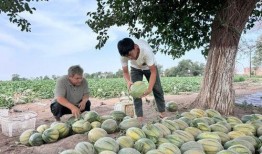 吃瓜姐妹一起来吃瓜,一起畅享欢乐瓜界盛宴