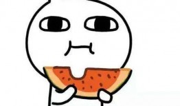 网友喜欢吃瓜,揭秘网友们的“吃瓜”热情