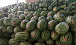 岸上吃瓜,揭秘娱乐圈幕后风云