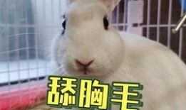 女海王养成吃瓜,揭秘现代都市女性的情感游戏法则