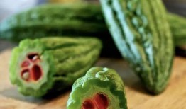 索西雅吃瓜,揭秘娱乐圈幕后故事