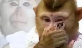 吃瓜原神头像,揭秘游戏圈那些鲜为人知的幕后故事