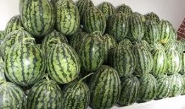 吃瓜师傅2,揭秘娱乐圈背后的秘密与真相