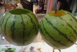 有哪些吃瓜的论坛,网络热议背后的真相与趣味