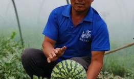 河南吃瓜园园,探寻地道的豫菜魅力