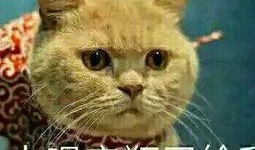 起点吃瓜的人,人生百味尽在其中