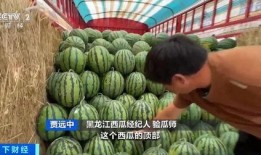 宜家吃瓜 下载,揭秘家居巨头背后的那些事儿