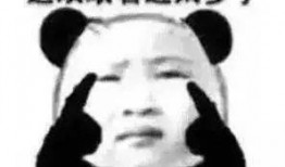 吃瓜 白痴 傻瓜,揭秘网络热词背后的心理现象