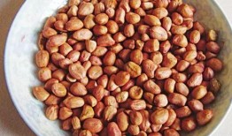 瓜爸吃麻辣花生,舌尖上的麻辣诱惑