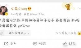 吃瓜迷茫,揭秘网络舆论背后的真相与反思