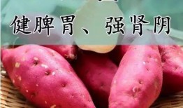 地瓜视频吃瓜视频下载,热门下载攻略大公开