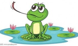 职业吃瓜青蛙,揭秘网络红人的幕后生活