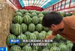 拉芳吃瓜,揭秘娱乐圈背后的秘密与真相