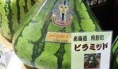 全网最美吃瓜群众