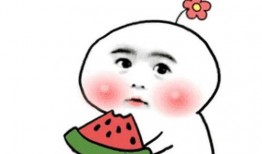 网恋吃瓜奔现,从虚拟到现实的甜蜜碰撞