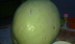 糖尿病可吃白瓜吗吗,白瓜的适宜摄入与注意事项