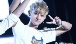 黄子韬吃瓜全部,娱乐圈吃瓜达人，揭秘明星幕后故事