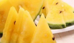 吃瓜的最佳方法,解锁吃瓜最佳姿势