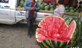 吃瓜群众2元钱,揭秘娱乐圈幕后真相