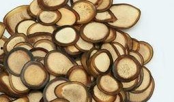 吃鹿茸片可以吃蒲瓜吗,食用搭配指南