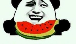 吃瓜群众是否追求真相,吃瓜群众与真相追求的纠葛