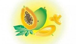 新之助吃瓜,揭秘娱乐圈背后的秘密风云