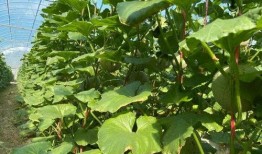 吃瓜合集2022,盘点娱乐圈那些事儿