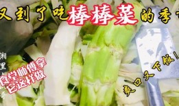 奉节老师 吃瓜,揭秘校园里的那些“瓜”