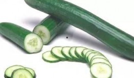 各个主播吃树叶瓜