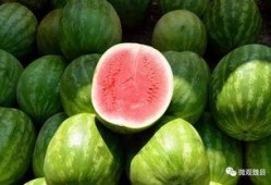 邯郸魏县吃瓜群众