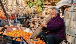 沂南最新吃瓜事件,揭秘当地热议的神秘现象