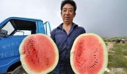 怎样判断自己吃瓜吃全,如何判断自己是否吃瓜吃全