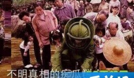 吃瓜群众2元钱,揭秘娱乐圈幕后真相