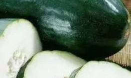 什么瓜的虫子可以吃,探索可食用瓜类虫子的奥秘