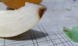 吃哈密瓜头变哈密瓜,揭秘哈密瓜头变哈密瓜的神奇现象