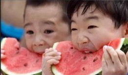 岸上吃瓜,揭秘娱乐圈幕后风云