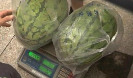 衡阳吃瓜事情,揭秘网络舆论背后的真相与反思