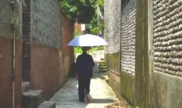 台儿庄吃瓜事件,一场引发社会热议的网络狂欢