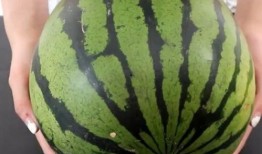 ruby不会飞吃瓜,不会飞却吃瓜的奇妙之旅