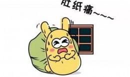 吃瓜群众作息,揭秘日常娱乐生活背后的秘密