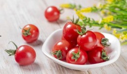 小瓜可不可以和番茄吃,探寻健康美味的秘密