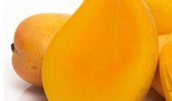 咳嗽发烧可以吃瓜吗,吃瓜是否适宜？健康饮食指南