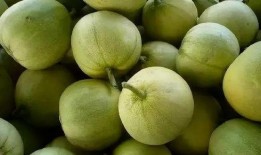 英国吃瓜两个人吃瓜视频,甜蜜互动引网友热议