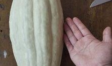 小布吃大瓜,揭秘瓜农与消费者的甜蜜故事