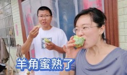 村里老嫂子吃瓜